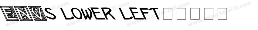ENVs lower left字体转换